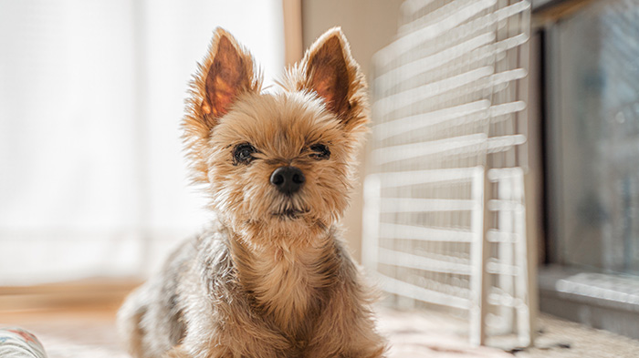 マンションで騒音の苦情を言われたときの正しい対処法